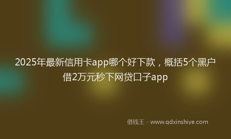 2025年最新信用卡app哪个好下款，概括5个黑户借2万元秒下网贷口子app