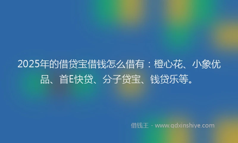 2025年的借贷宝借钱怎么借有：橙心花、小象优品、首E快贷、分子贷宝、钱贷乐等。
