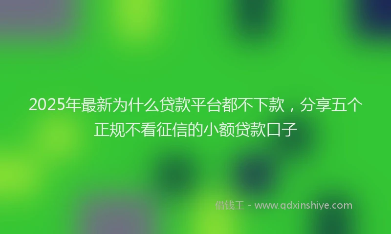 2025年最新为什么贷款平台都不下款，分享五个正规不看征信的小额贷款口子