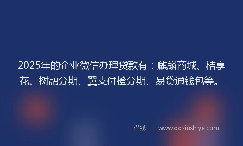 2025年的企业微信办理贷款有：麒麟商城、桔享花、树融分期、翼支付橙分期、易贷通钱包等。