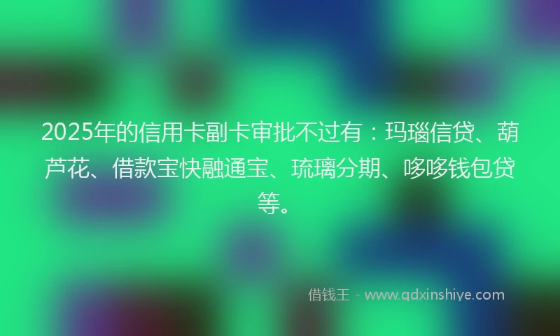 2025年的信用卡副卡审批不过有：玛瑙信贷、葫芦花、借款宝快融通宝、琉璃分期、哆哆钱包贷等。
