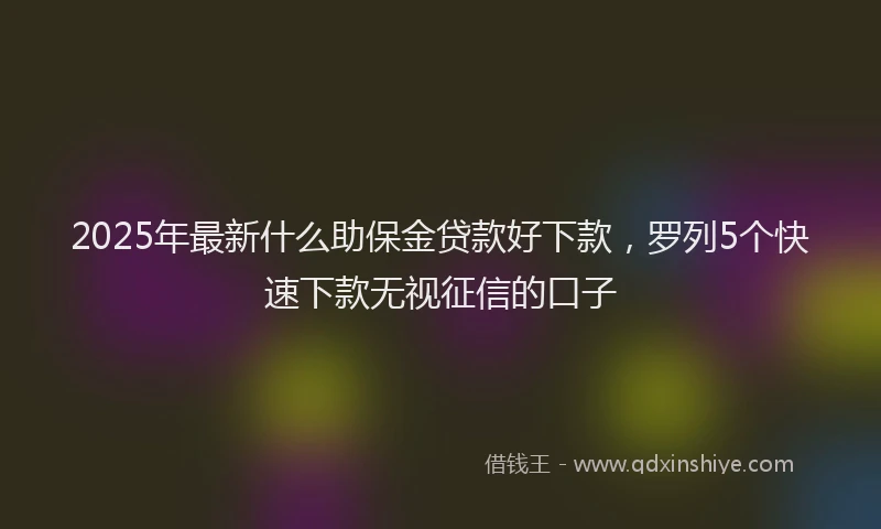 2025年最新什么助保金贷款好下款，罗列5个快速下款无视征信的口子