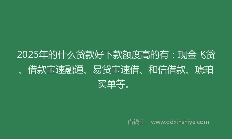 2025年的什么贷款好下款额度高的有：现金飞贷、借款宝速融通、易贷宝速借、和信借款、琥珀买单等。