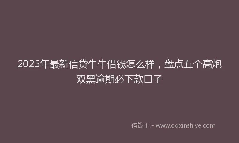 2025年最新信贷牛牛借钱怎么样，盘点五个高炮双黑逾期必下款口子