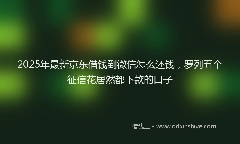 2025年最新京东借钱到微信怎么还钱，罗列五个征信花居然都下款的口子