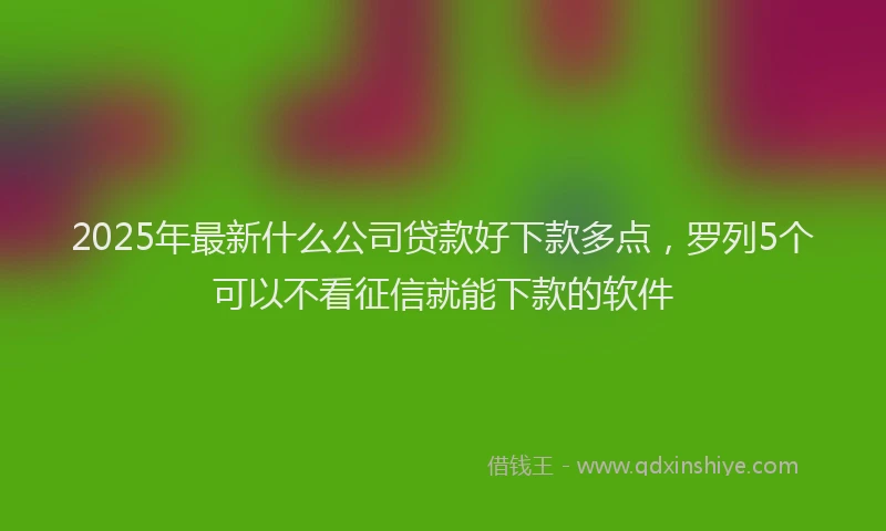2025年最新什么公司贷款好下款多点，罗列5个可以不看征信就能下款的软件