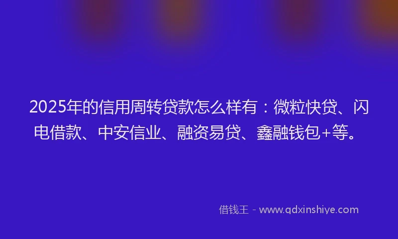 2025年的信用周转贷款怎么样有：微粒快贷、闪电借款、中安信业、融资易贷、鑫融钱包+等。