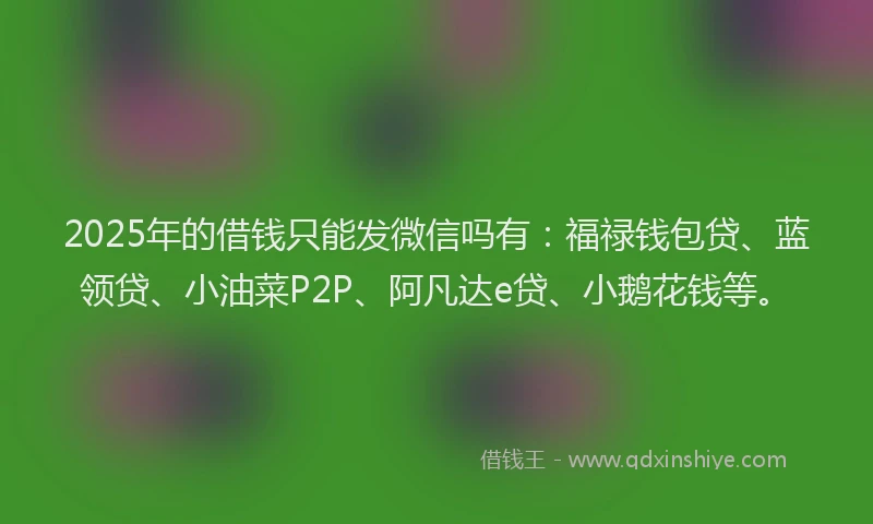 2025年的借钱只能发微信吗有：福禄钱包贷、蓝领贷、小油菜P2P、阿凡达e贷、小鹅花钱等。