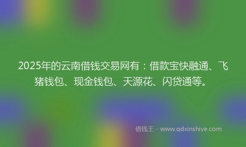 2025年的云南借钱交易网有：借款宝快融通、飞猪钱包、现金钱包、天源花、闪贷通等。