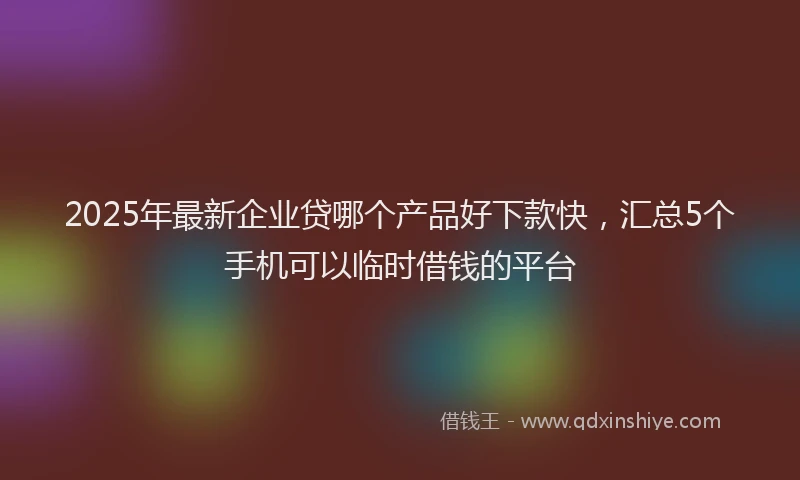 2025年最新企业贷哪个产品好下款快，汇总5个手机可以临时借钱的平台