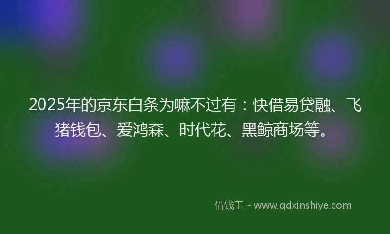 2025年的京东白条为嘛不过有：快借易贷融、飞猪钱包、爱鸿森、时代花、黑鲸商场等。