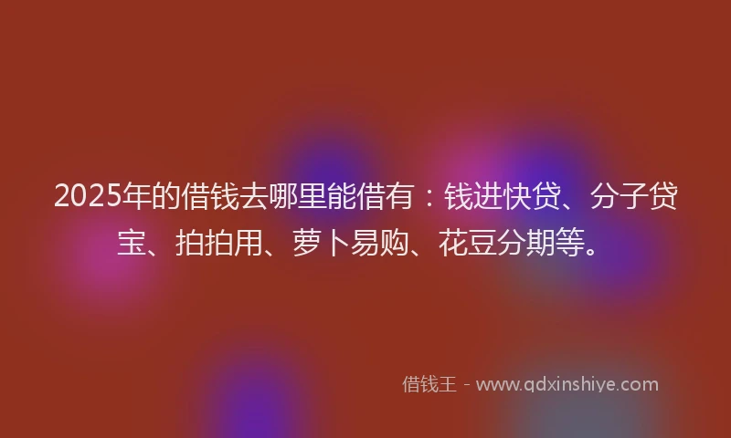 2025年的借钱去哪里能借有：钱进快贷、分子贷宝、拍拍用、萝卜易购、花豆分期等。