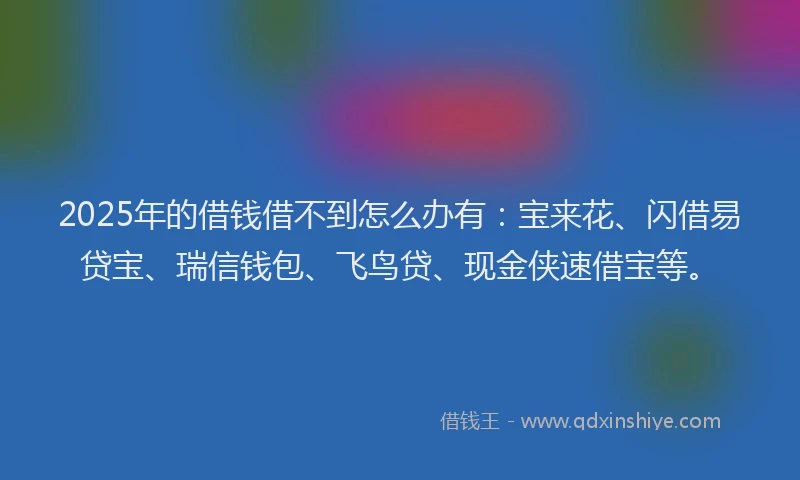 2025年的借钱借不到怎么办有：宝来花、闪借易贷宝、瑞信钱包、飞鸟贷、现金侠速借宝等。