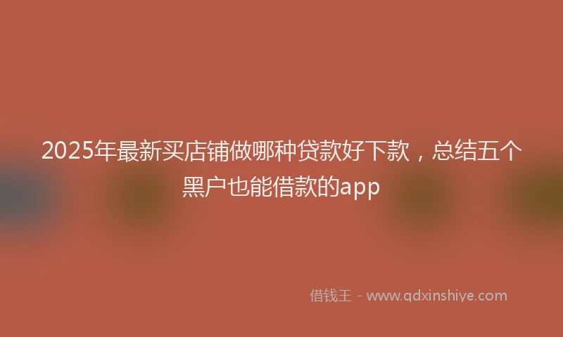 2025年最新买店铺做哪种贷款好下款，总结五个黑户也能借款的app