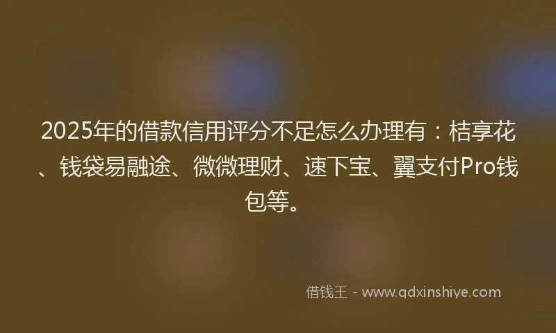 2025年的借款信用评分不足怎么办理有：桔享花、钱袋易融途、微微理财、速下宝、翼支付Pro钱包等。