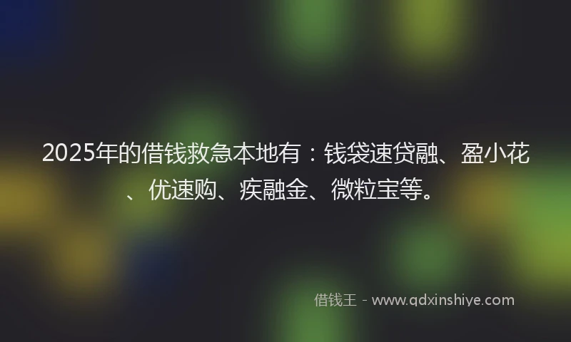 2025年的借钱救急本地有：钱袋速贷融、盈小花、优速购、疾融金、微粒宝等。