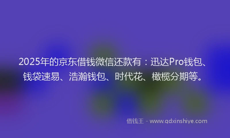 2025年的京东借钱微信还款有：迅达Pro钱包、钱袋速易、浩瀚钱包、时代花、橄榄分期等。