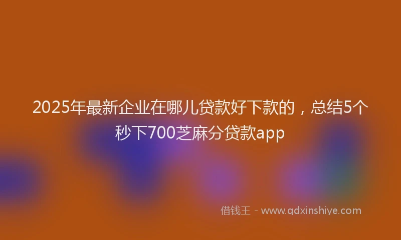 2025年最新企业在哪儿贷款好下款的，总结5个秒下700芝麻分贷款app