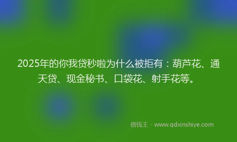 2025年的你我贷秒啦为什么被拒有：葫芦花、通天贷、现金秘书、口袋花、射手花等。