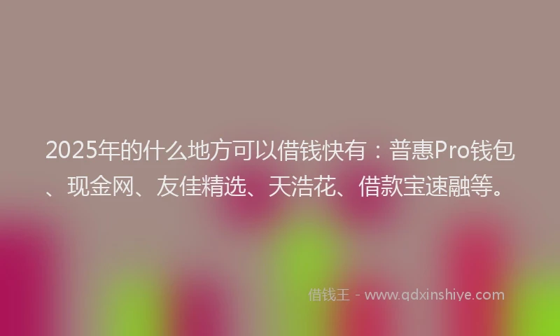 2025年的什么地方可以借钱快有：普惠Pro钱包、现金网、友佳精选、天浩花、借款宝速融等。