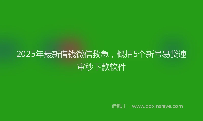 2025年最新借钱微信救急，概括5个新号易贷速审秒下款软件