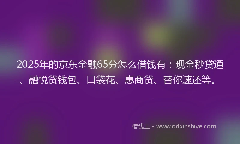 2025年的京东金融65分怎么借钱有：现金秒贷通、融悦贷钱包、口袋花、惠商贷、替你速还等。