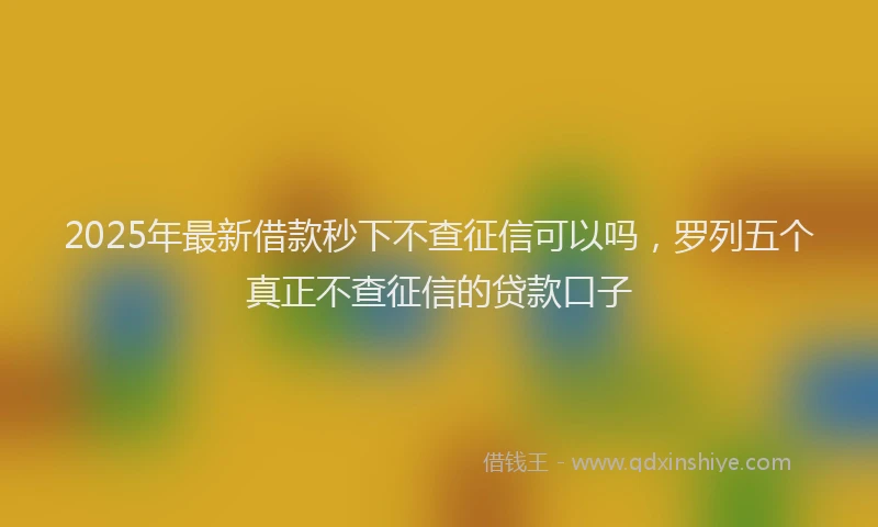 2025年最新借款秒下不查征信可以吗，罗列五个真正不查征信的贷款口子