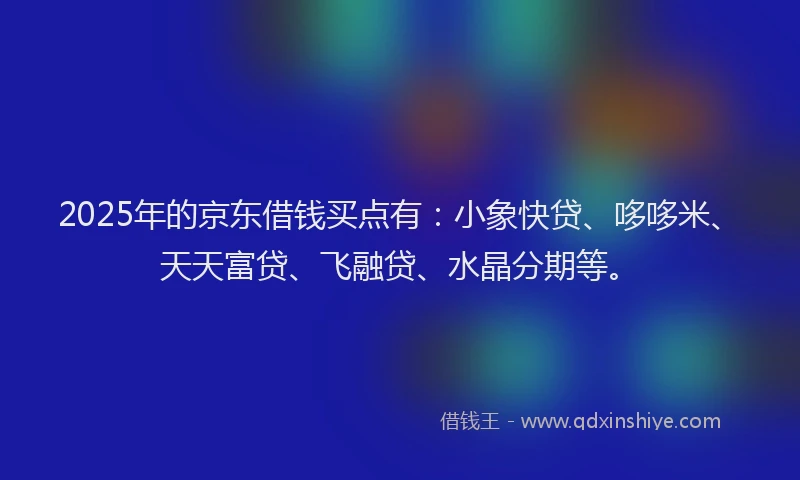 2025年的京东借钱买点有：小象快贷、哆哆米、天天富贷、飞融贷、水晶分期等。
