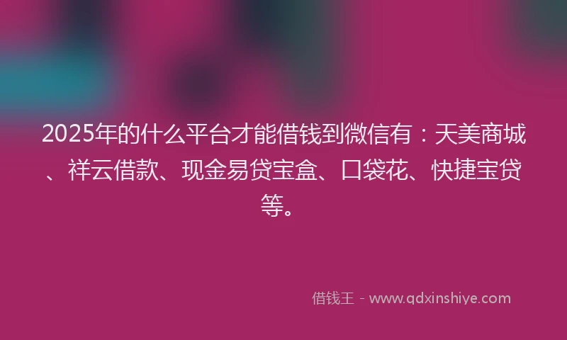 2025年的什么平台才能借钱到微信有：天美商城、祥云借款、现金易贷宝盒、口袋花、快捷宝贷等。