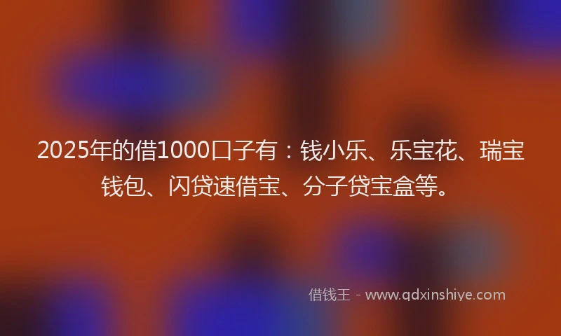 2025年的借1000口子有：钱小乐、乐宝花、瑞宝钱包、闪贷速借宝、分子贷宝盒等。
