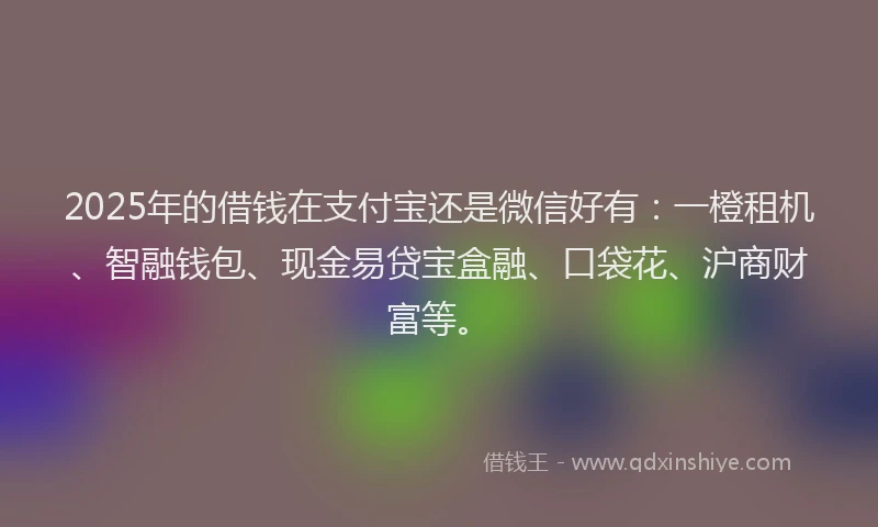 2025年的借钱在支付宝还是微信好有：一橙租机、智融钱包、现金易贷宝盒融、口袋花、沪商财富等。