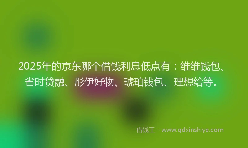 2025年的京东哪个借钱利息低点有：维维钱包、省时贷融、彤伊好物、琥珀钱包、理想给等。