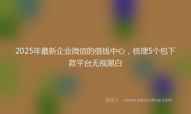 2025年最新企业微信的借钱中心，梳理5个包下款平台无视黑白