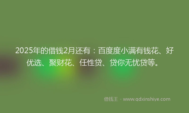 2025年的借钱2月还有：百度度小满有钱花、好优选、聚财花、任性贷、贷你无忧贷等。