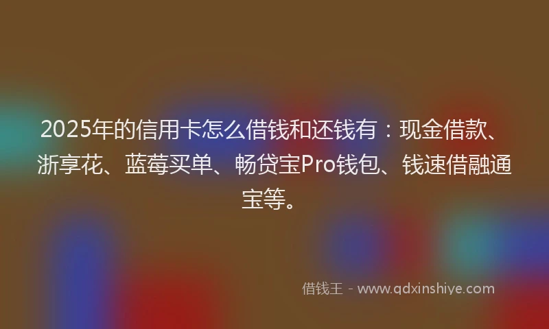 2025年的信用卡怎么借钱和还钱有：现金借款、浙享花、蓝莓买单、畅贷宝Pro钱包、钱速借融通宝等。