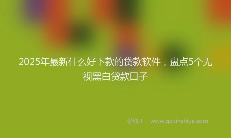 2025年最新什么好下款的贷款软件，盘点5个无视黑白贷款口子
