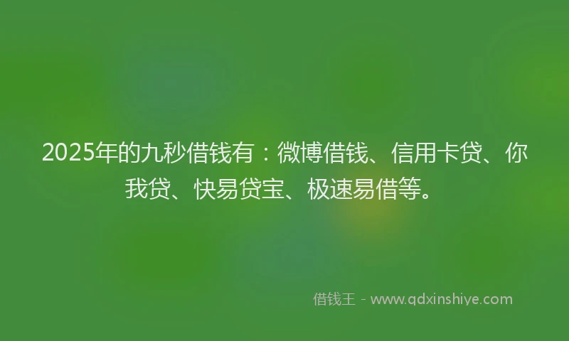 2025年的九秒借钱有：微博借钱、信用卡贷、你我贷、快易贷宝、极速易借等。