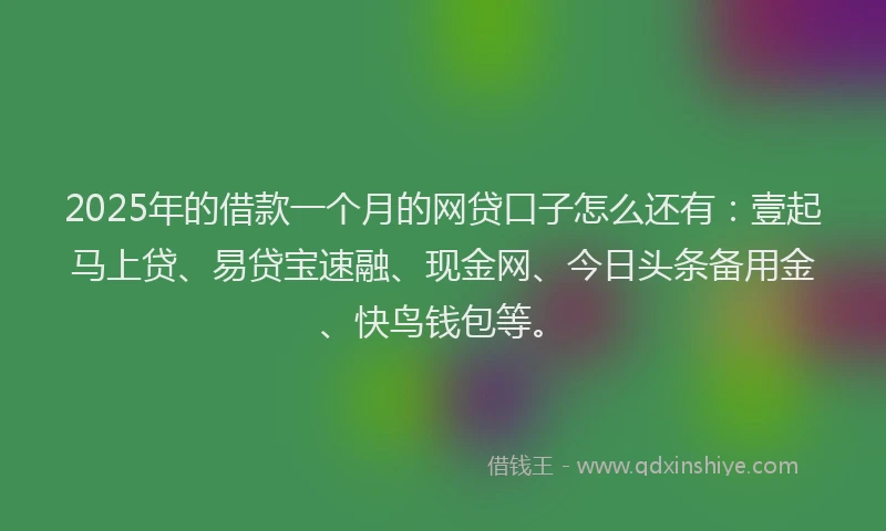 2025年的借款一个月的网贷口子怎么还有：壹起马上贷、易贷宝速融、现金网、今日头条备用金、快鸟钱包等。