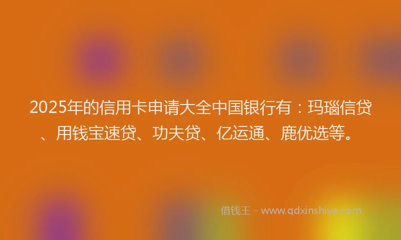 2025年的信用卡申请大全中国银行有：玛瑙信贷、用钱宝速贷、功夫贷、亿运通、鹿优选等。