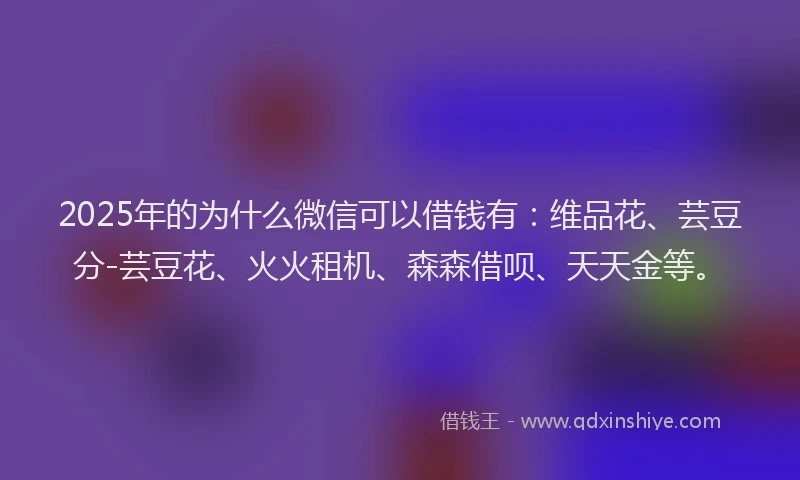 2025年的为什么微信可以借钱有：维品花、芸豆分-芸豆花、火火租机、森森借呗、天天金等。
