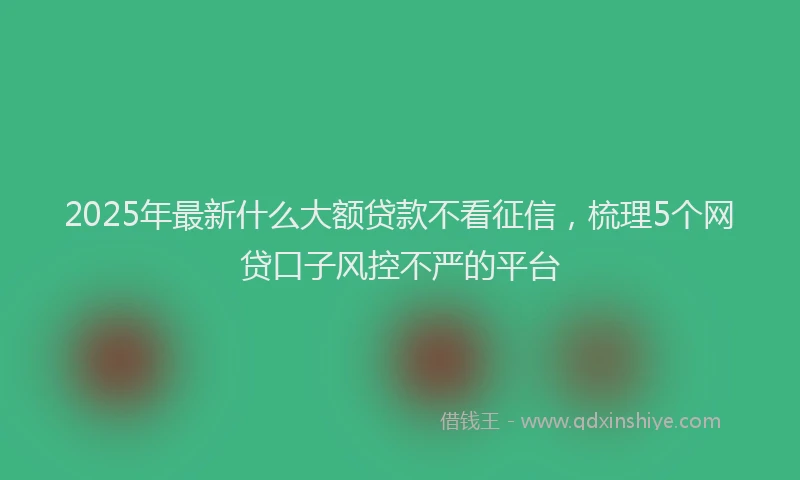 2025年最新什么大额贷款不看征信，梳理5个网贷口子风控不严的平台