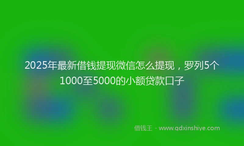 2025年最新借钱提现微信怎么提现，罗列5个1000至5000的小额贷款口子