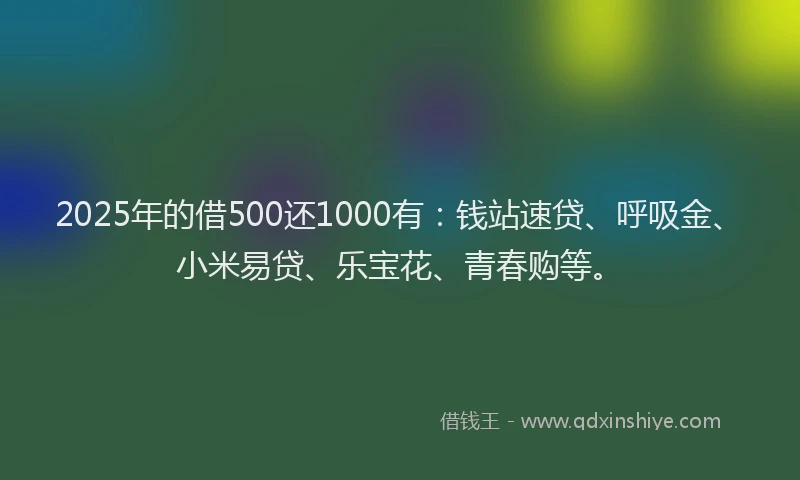 2025年的借500还1000有：钱站速贷、呼吸金、小米易贷、乐宝花、青春购等。