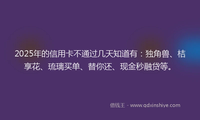 2025年的信用卡不通过几天知道有：独角兽、桔享花、琉璃买单、替你还、现金秒融贷等。