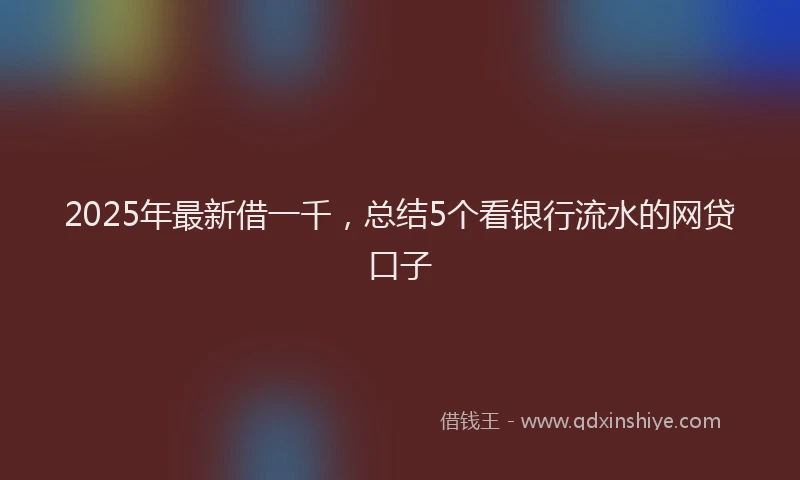 2025年最新借一千，总结5个看银行流水的网贷口子
