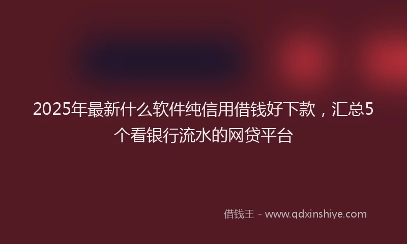 2025年最新什么软件纯信用借钱好下款，汇总5个看银行流水的网贷平台