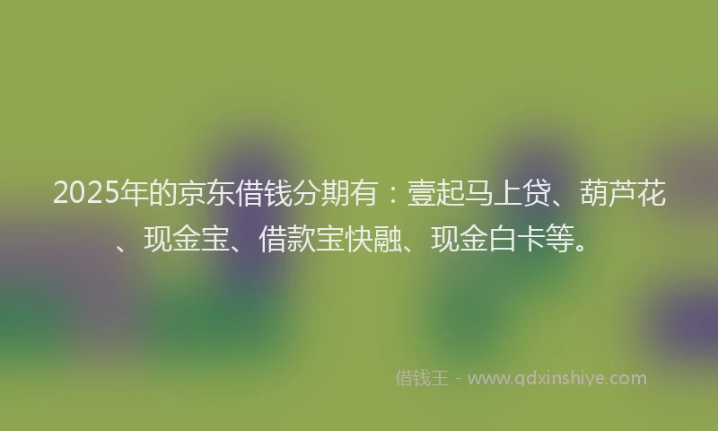 2025年的京东借钱分期有：壹起马上贷、葫芦花、现金宝、借款宝快融、现金白卡等。