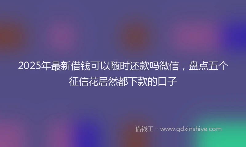 2025年最新借钱可以随时还款吗微信，盘点五个征信花居然都下款的口子