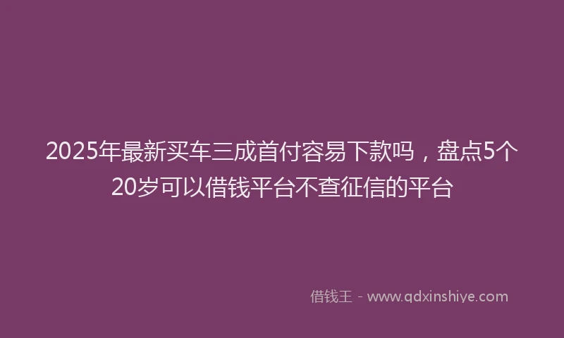 2025年最新买车三成首付容易下款吗，盘点5个20岁可以借钱平台不查征信的平台