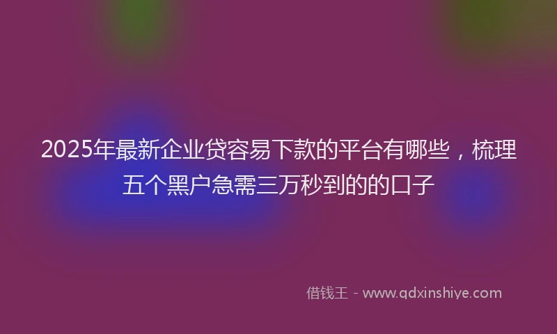 2025年最新企业贷容易下款的平台有哪些，梳理五个黑户急需三万秒到的的口子